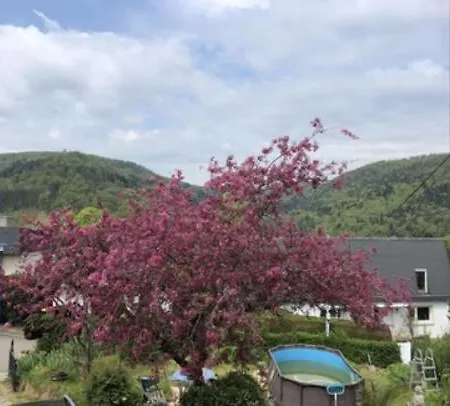 Au Pied Du Chateau 3*